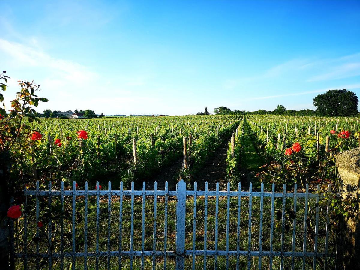 La Maison Des Vignes Saint Emilion Apartment Exterior photo